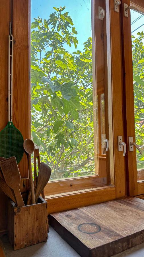 Camping Kromidovo Екстериор снимка
